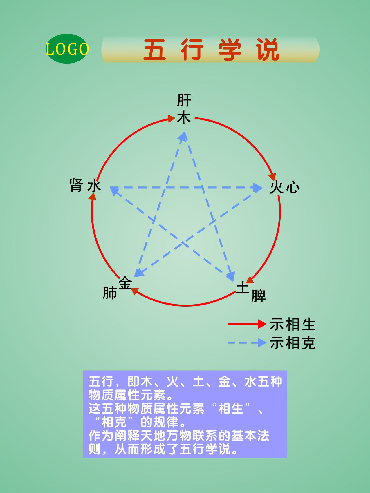 海报印制展板写真喷绘医院中医养生心肝肺脾五行写真