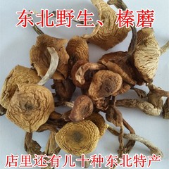 东北野生新榛蘑菇干 特产蘑菇 香菇类 干榛蘑菇  榛蘑250克包邮