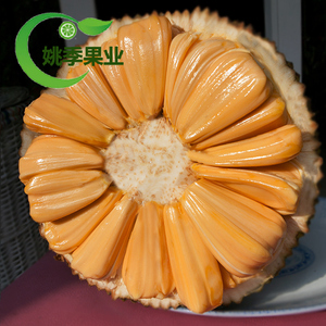 泰国红肉菠萝蜜新鲜水果菠萝蜜新鲜菠萝蜜海南