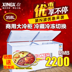 XINGX/星星 BD/BC-358C 518 718 908 1288升 大型商用冷冻柜冰柜