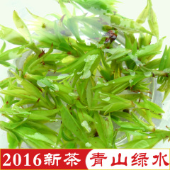 芽芽青山绿水2016年新茶四川峨眉山特级小叶苦丁茶叶春茶芽心100g