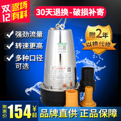 绿一12V48V电动抽水泵家用自吸泵农用直流高扬程微型潜水泵井水泵