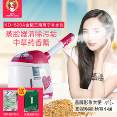金稻KD-502A纳米离子喷雾器 蒸脸器 家用美容冷热喷补水加湿器