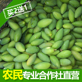 新鲜橄榄青果包邮中国优质青橄榄果基地现摘现发孕妇水果买2送1