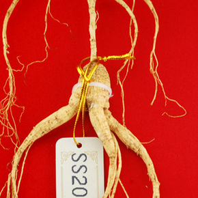 吉林融泽参茸拍卖会野山参专场_珍品拍卖 - 拍卖专场 - 阿里拍卖