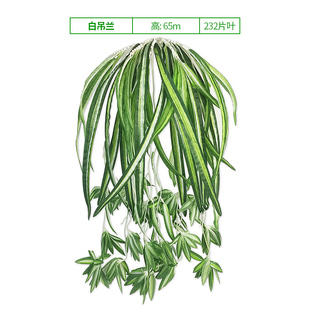 妙绿白吊兰植物墙配花长青仿真绿植墙塑料大花装饰假花立体绿化墙