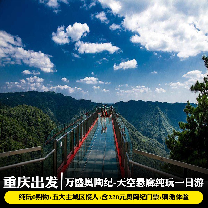 重庆周边旅游出发到万盛奥陶纪天空悬廊一日游五大主城区接含门票