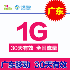 广东移动流量 1G流量充值加油包 手机流量包 234G通用自动充值包