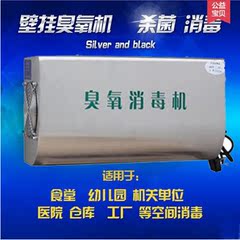 厂价直销 臭氧发生器 壁挂式臭氧消毒机 空间消毒机 臭氧机5G/H