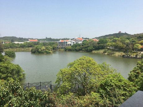 【第一次拍卖】泉州市丰泽区通港东街168号迎宾馆61桃源山庄一期d型