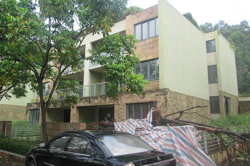 【第二次拍卖】南国桃园天安鸿基花园林溪山庄39号(面积423.94㎡毛坯)