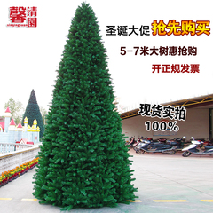 馨清园 大型圣诞树6米 圈架圣诞树 酒店装饰树 广场装饰大树