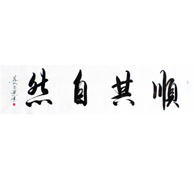 林玉贵《顺其自然》中国艺术家协会书法研会副秘书长