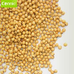 康丽豆芽机培植豆芽专用黄豆 高效培植 250g/包 配料