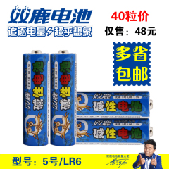 双鹿 5号五号 无汞碱性电池 LR6 AA 儿童玩具 40粒价格  多省包邮