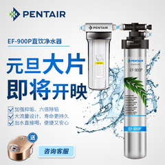 爱惠浦净水器EF900P美国滨特尔家用直饮净水器厨房净水机过滤器