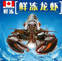 加拿波士顿大龙虾鲜活速冻海鲜水产 进口大龙虾顺丰包邮称重计算