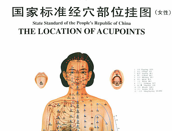 国家标准部位挂图女性中国中医药出版社邓良月中医