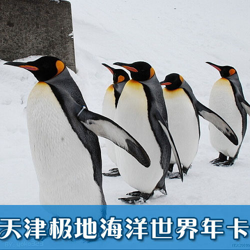 天津极地海洋馆门票