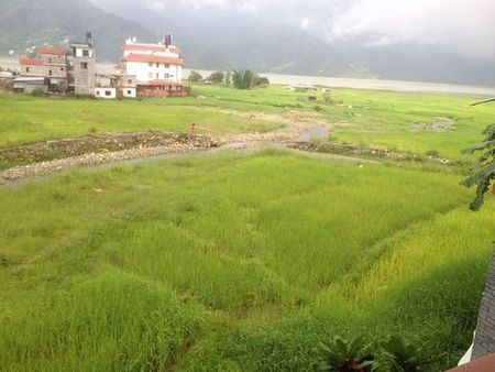 毗湿奴家庭旅馆