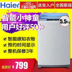 Haier/海尔 EB55M2WH小神童洗衣机全自动小型单筒波轮家用5.5公斤