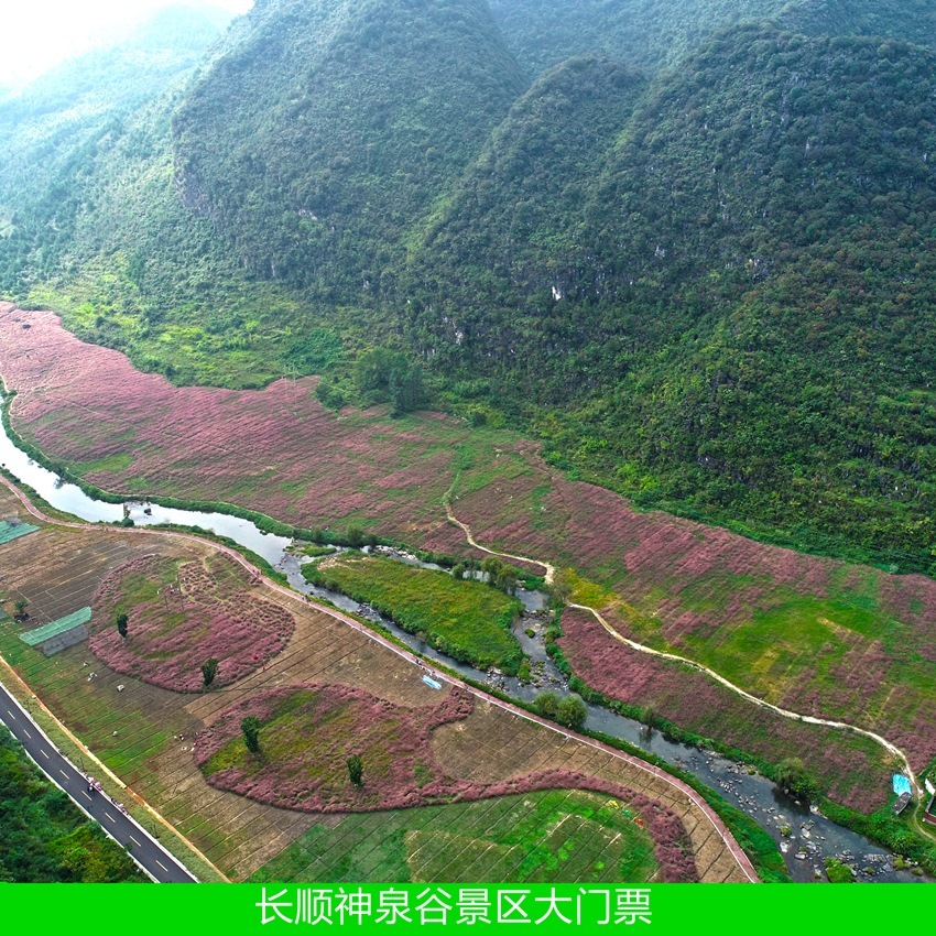 长顺神泉谷景区地址图片