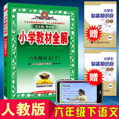 赠2本书 人教版小学教材全解 语文 六年级 下册 小学生6六年级下语文全解易通课堂同步解析工具书训练六年级小学教材全解薛金星