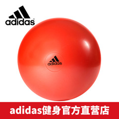 adidas阿迪达斯瑜伽球 健身球 加厚防爆正品家用健身器材