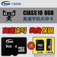 Team十铨8g内存卡Class10 高速手机tf卡micro SD存储卡 包邮