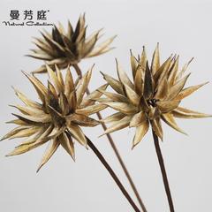 小丽菊 手工干花仿真假花客厅摆件装饰干树叶干树枝拍摄道具花