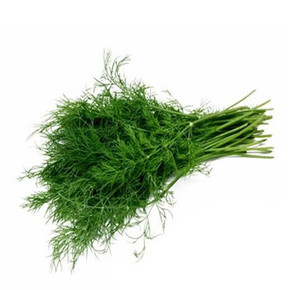 特价买4送一新鲜法香麝香草洋芫荽欧芹新鲜有机蔬菜100g批发 &yen; 8