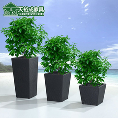 天裕成 花架 阳台花架铁艺花架欧式花架客厅花架花盆架 花架特价