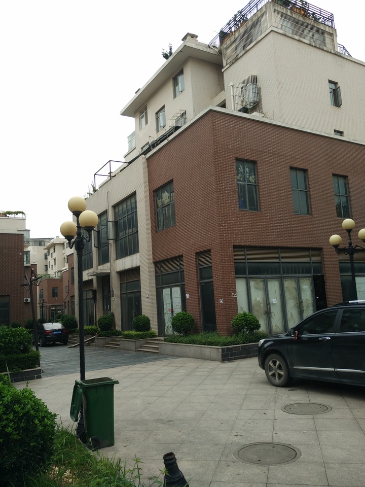 【第一次拍卖】武汉黄陂区盘龙城经济开发区叶店村武汉28街f1幢2-1