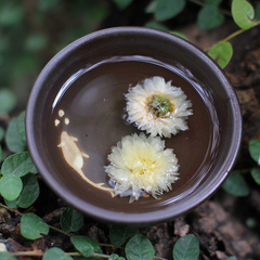 [兰笙]正宗黄山贡菊 白菊花茶 清热去火花草茶 产地安徽