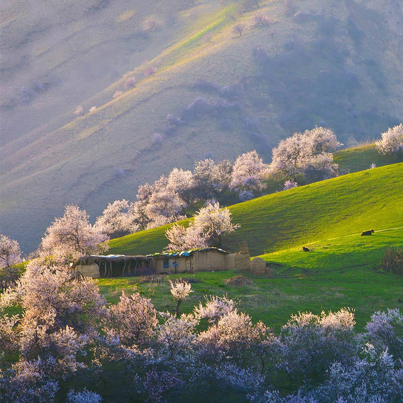 Xinjiang Travel? Ili Apricot Huoyanshan Redhill Grand Canyon 8, 2011 Pure Play Tuanyouin the Holiday Line/Visas send off/Travel services , Visit/Tuanyou , Domestic travel with the group category - from Buy2taobao.com to provide professional Taobao agent buy service