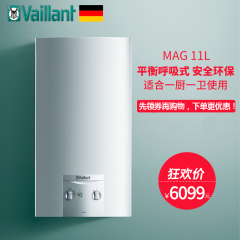 Vaillant/威能 JSG22-MAG 11-2/0 H智能恒温呼吸式燃气热水器11升