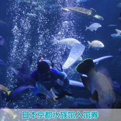 日本京都水族馆入馆券 比现场购票更划算 企鹅 海豚展区