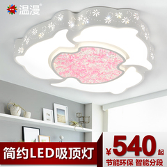 温漫LED 吸顶灯浪漫可爱卧室灯客厅灯房间灯铁艺吸顶灯 天使之吻