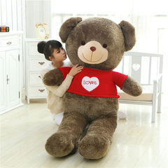 泰迪熊公仔毛绒玩具熊大号布娃娃女生抱抱熊毛衣熊公仔生日礼物女