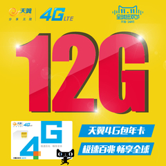 全国流量卡 电信天翼无线 4G 上网卡手机卡资费卡12GB流量半年卡