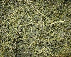 中草药批发 中药材材 药用绞股蓝 特价500g 4.5元