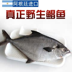 阿根廷进口野生鲳鱼400-600g/条 深海新鲜冷冻平鱼扁鱼肉海鲜