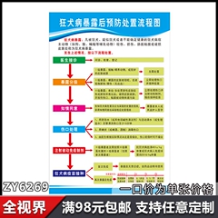 狂犬病暴露后防护处置流程图 防控中心疫苗室科普知识宣传海报