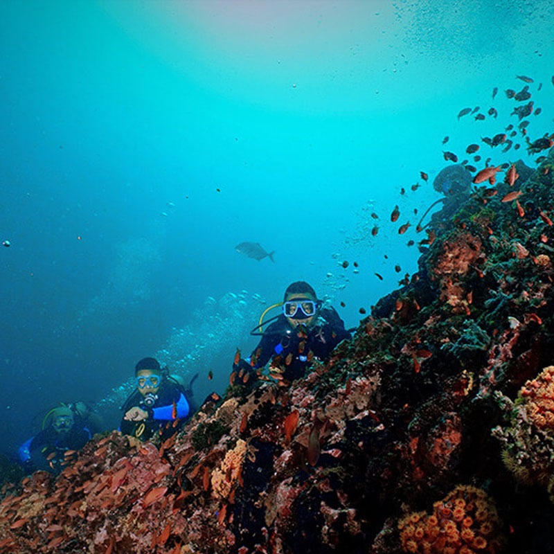趣潛旅行 菲律賓科隆南線歡樂潛FunDive/FD 持證深潛潛水 PADI在類目 度假線路/簽證送關/旅遊服務, 周邊商品/服務/旅遊用品, 本地遊購與服務, 潛水/岸潛/船潛中 - 來自Buy2taobao.com提供專業的淘寶代購服務