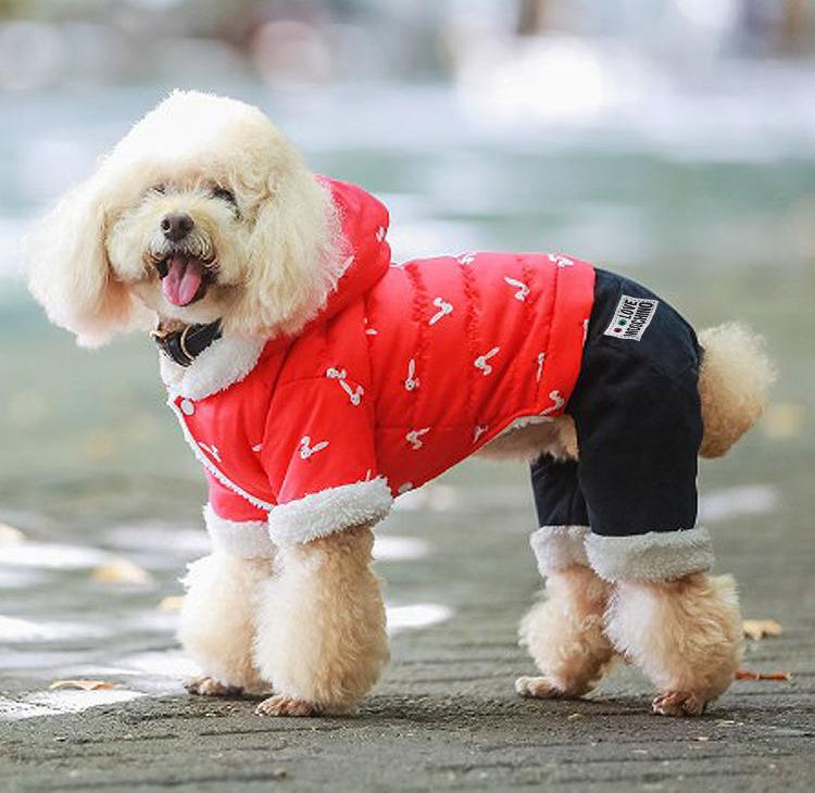 狗狗衣服冬季泰迪狗衣服小狗衣服公母狗棉服狗棉衣四脚衣宠物衣