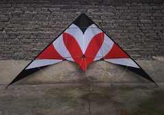 3米特技风筝  运动风筝 潍坊风筝网 8M碳杆 精美包装 特大款