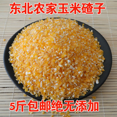 东北农家玉米碴子 大苞米茬子 玉米碴子新米 大碴子粥500g