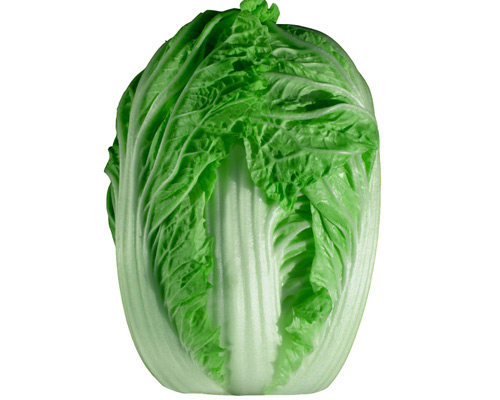 新鲜蔬菜 新鲜大白菜 一颗3斤左右 京津冀88包邮顺丰快递