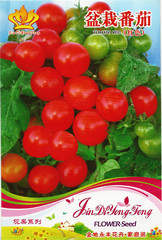 盆栽番茄红黄樱桃番茄绿珍珠黄洋梨棕圣果观赏小西红柿种子约30粒