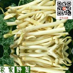 野菜新鲜蔬菜 花生芽 无土栽培 天然无污染新鲜绿色蔬菜400g